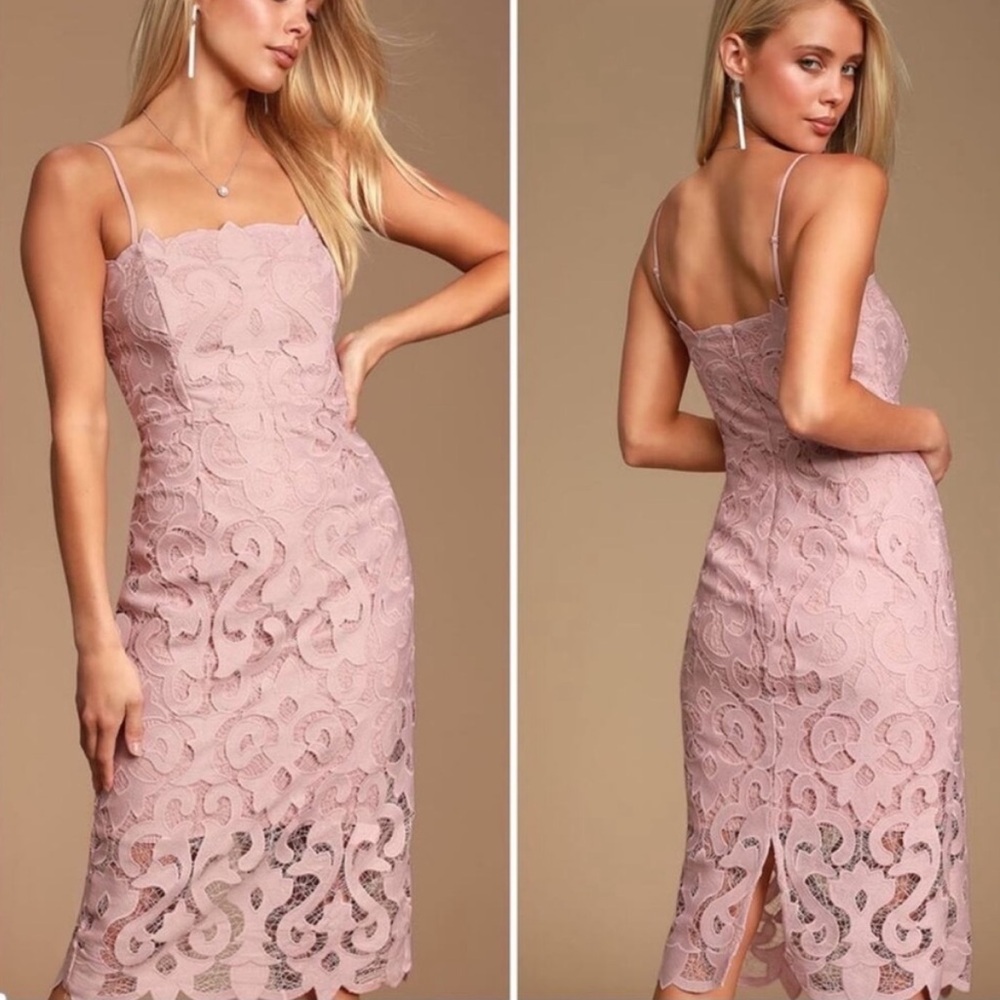 Bardot Blush Lace Midi Dress